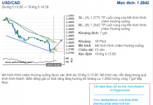 Chính sách IB của Grandcapital đối với giao dịch Binaryoption