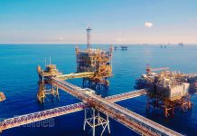 Giá xăng dầu hôm nay (19-11): Đảo chiều tăng