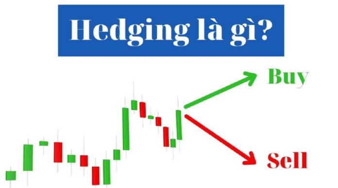 hedging-la-gi